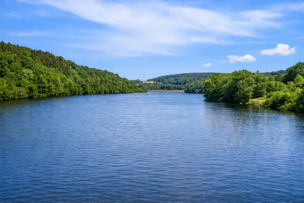 Talsperre mit Wald mit Damm im Hintergrund